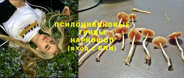 бутират Богданович