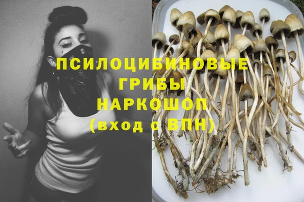 первитин Богородицк