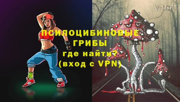 дживик Белоозёрский