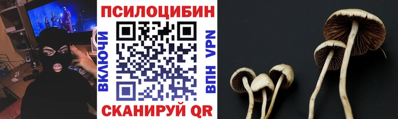 Купить где  Андреаполь  Галлюциногенные грибы ЛСД 